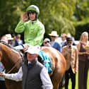 Jm Jungle will head back to Goodwood