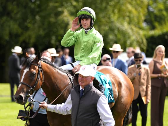 Jm Jungle will head back to Goodwood