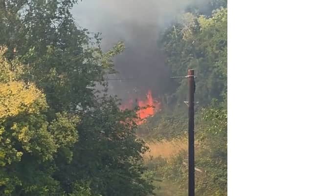 The fire at Netherton Park