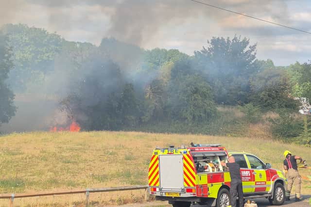 The fire at Netherton Park