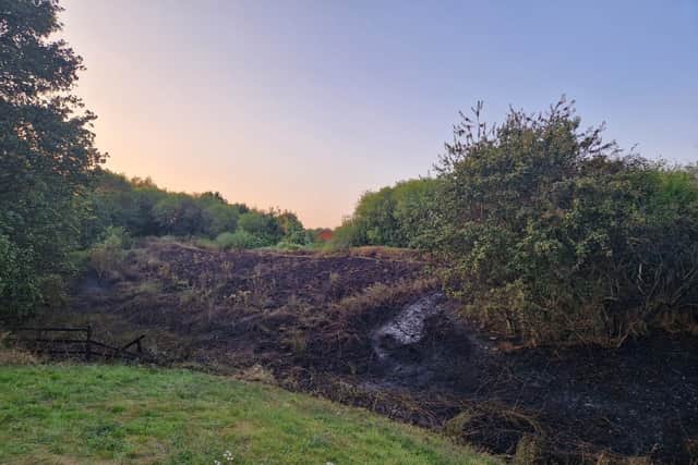 The aftermath of the fire 