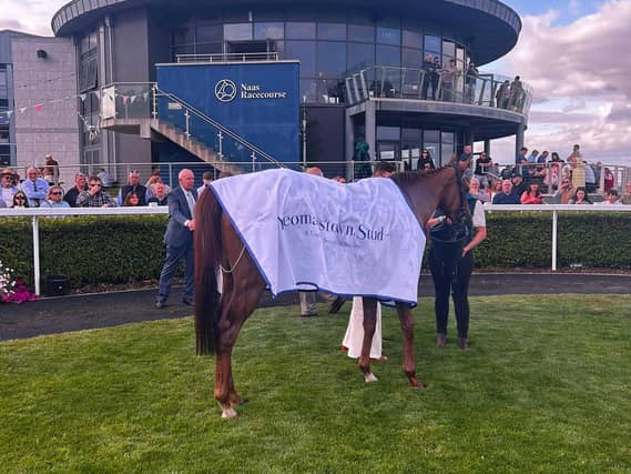Soul Love after her victory at Naas