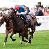 Earth Shot has been backed to bounce back