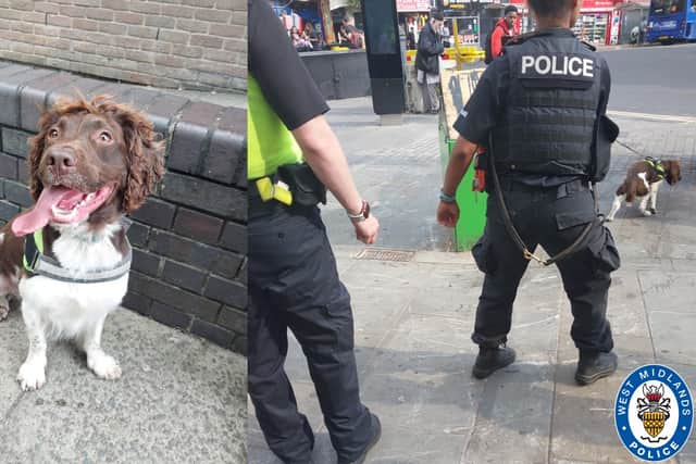 PD Tez from West Midlands Police