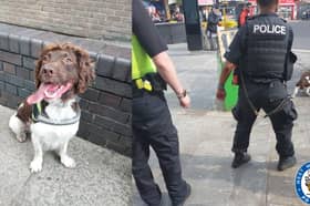 PD Tez from West Midlands Police