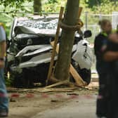 Police near a vehicle crashed into a tree in Berlin