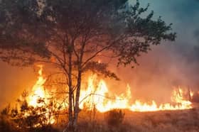 A massive wildfire has burned around 42,000 hectares in southwestern France as thousands of firefighters continue efforts to contain the blaze. Photo: SWNS