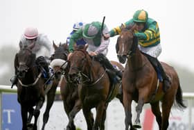 Comfort Zone (right) gets up to win the Connacht Hotel Handicap at Galway