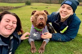 Comet was cared for at the RSPCA’s Cotswold Dogs & Cats Home