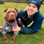 Comet was cared for at the RSPCA’s Cotswold Dogs & Cats Home
