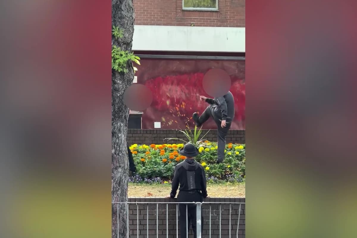 Shock as teenagers laugh while they destroy flowerbed in quiet West ...