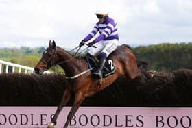 Funiculi Funicula ridden by Paul Townend win at Punchestown