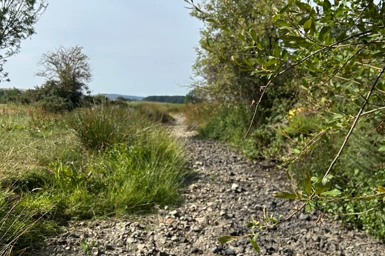 It's official: Warning to save water as drought declared in West Midlands