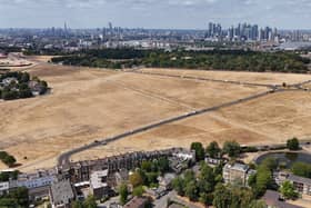 The parched grass of Blackheath in London