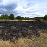 The scene of the grass fire on Hednesford Hills.
Tim Thursfield/Iconic Media Group