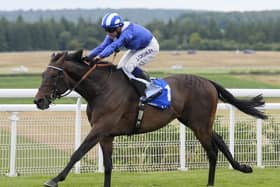 Al Aasy winning last year's Glorious Stakes at Goodwood
