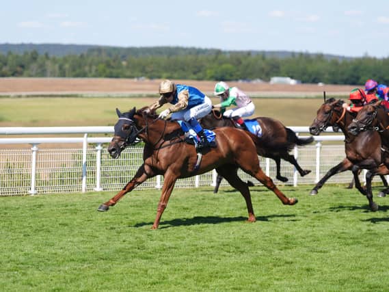 Qatar Goodwood Festival 2026 – Day Four