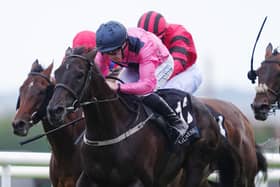 Thread Of Gold gets up to win at Galway