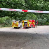 Fire service at scene of Cannock Chase wildfire