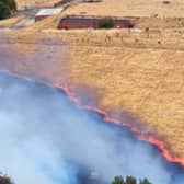 Large grassland fire in Great Barr on Sunday August 2.