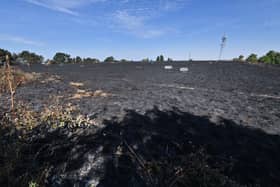 Large areas of grassland were left burnt after the fire