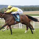 Waardah winning at Goodwood last summer
