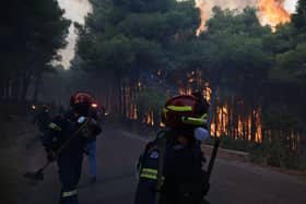 Firefighters operate near a burning forest during a wildfire near Porto Germeno in Greece
