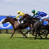 Dr Rascal (left) winning the Vintage Stakes