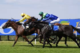 Dr Rascal (left) winning the Vintage Stakes