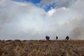 Fire crews work to tackle blaze on Cannock Chase