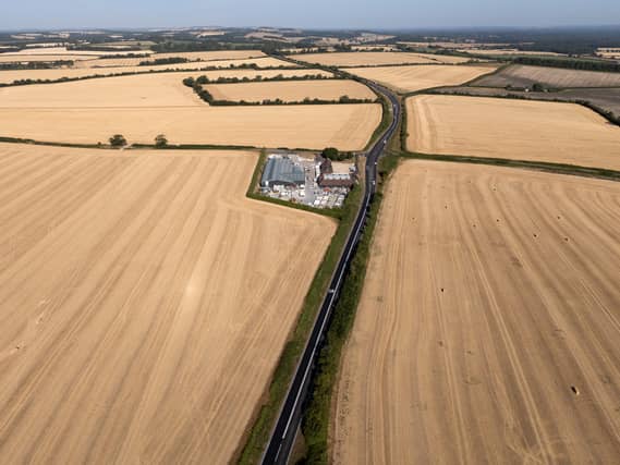 Aerial view of dry, harvested fields in the sunshine