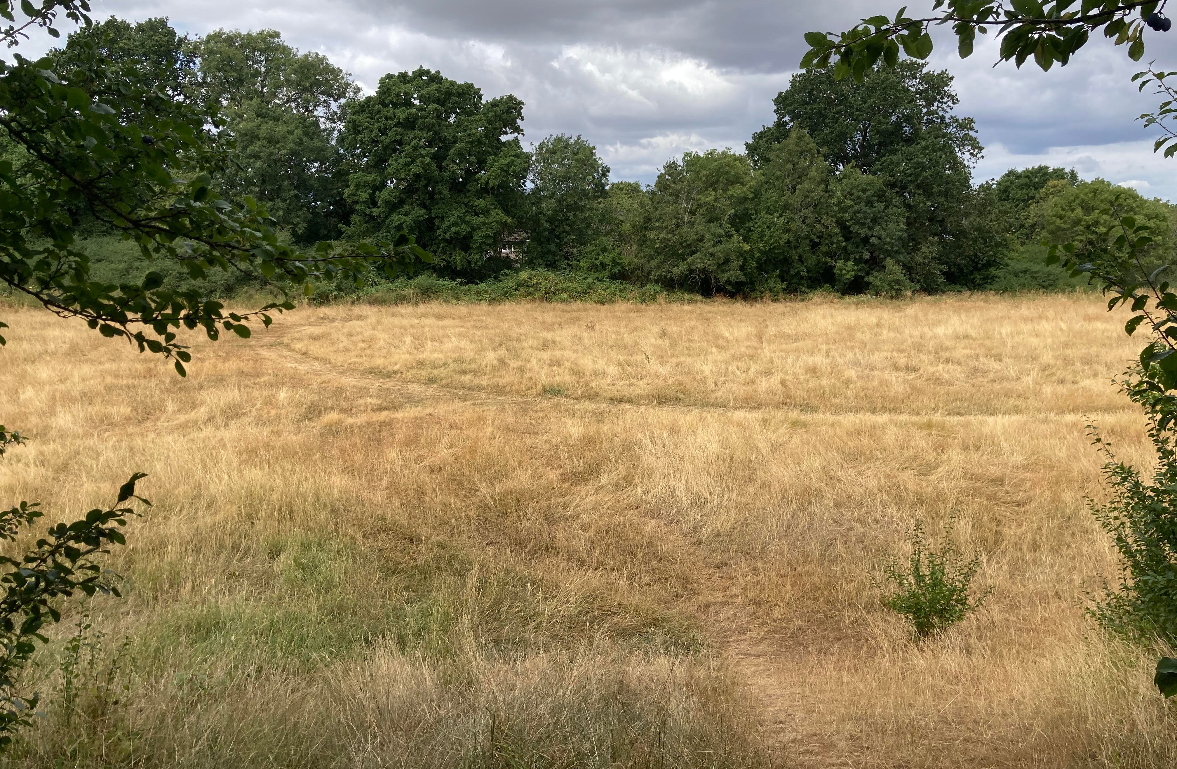 Reowly Councillors approve plans for 30 affordable homes and care home on ...
