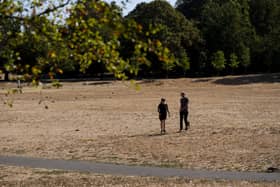 Summer weather Aug 7th 2026