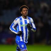 Sheffield Wednesday’s Jamal Lowe