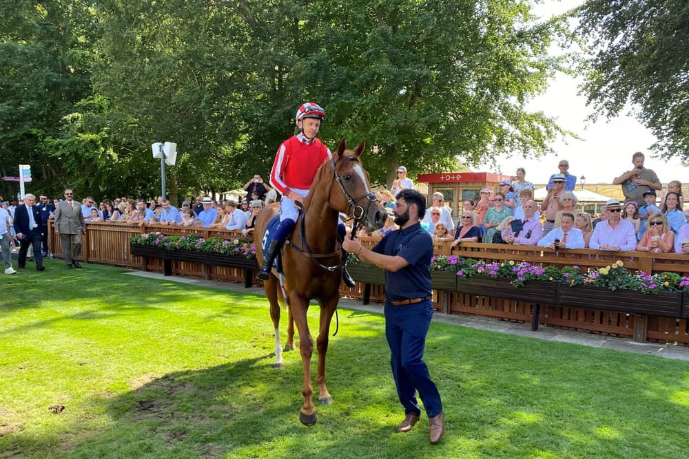 Lex Victoria won nicely at Newmarket