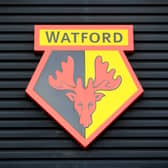 General view of the Watford badge