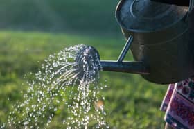 A few changes can go a long way during the hosepipe ban