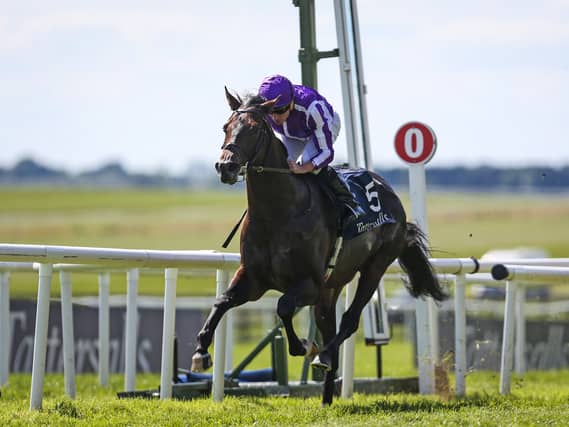 Gstaad winning the Irish 2,000 Guineas