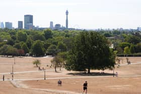 A person jogging through Primrose Hill, north London