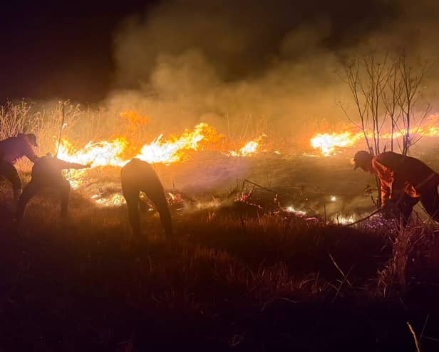 Firefighters attempt to extinguish a wildfire that razes through Mount Bromo National Park in Probolinggo