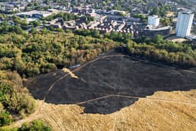 Aerial image showing the aftermath of the large grass fire on Clayhanger Common, Brownhills.
Tim Thursfield/Iconic Media Group

