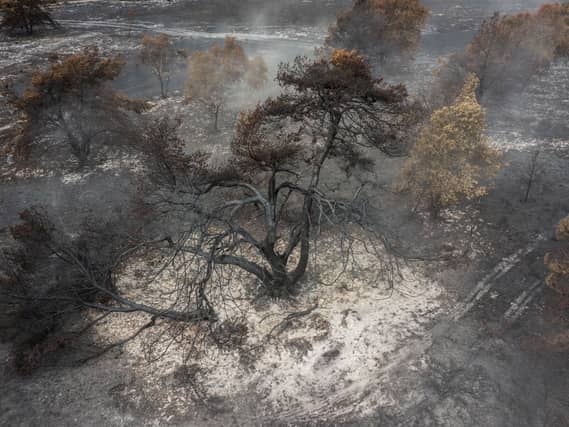 Aerial footage following a wildfire at Dunwich Heath in Suffolk. (National Trust Images/ Justin Minns/ PA)