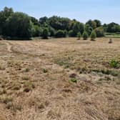 Penn Common as been left badly affected by the heatwave