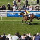 Matteo winning at Beverley