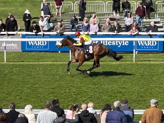 Matteo winning at Beverley