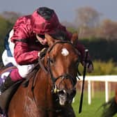 A Boy Named Susie in action at Leopardstown