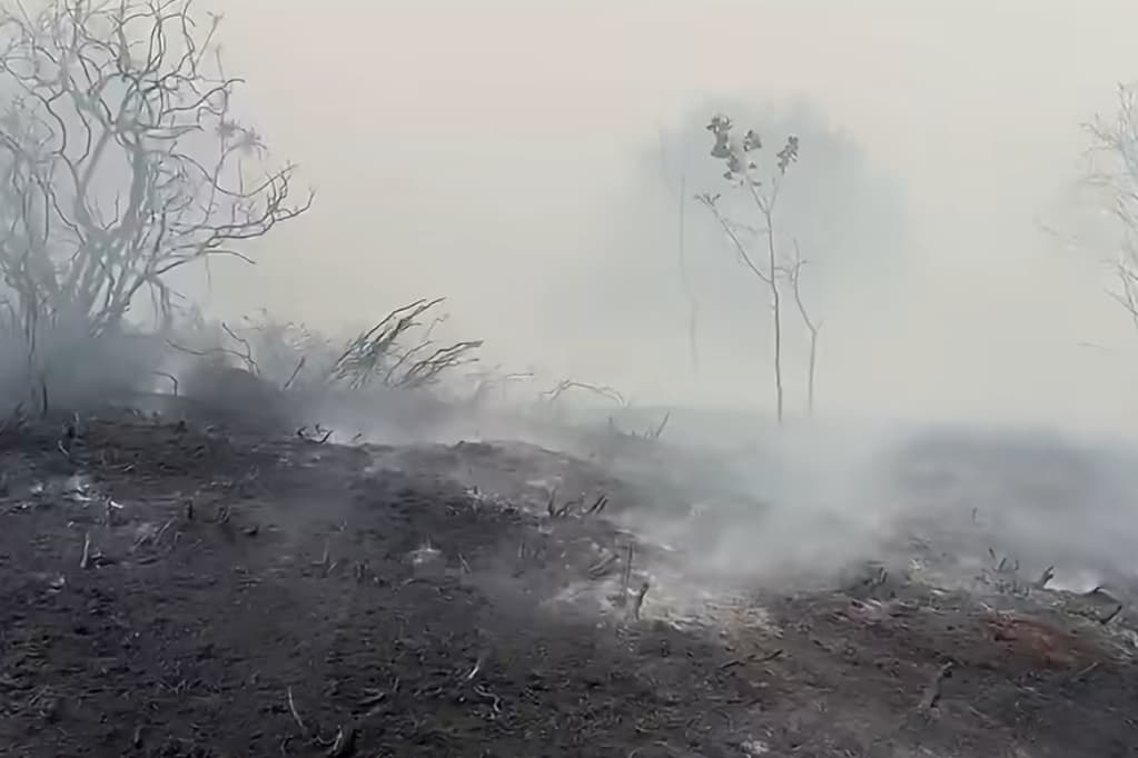 Fire service issues update after crews called to large grass blaze on ...
