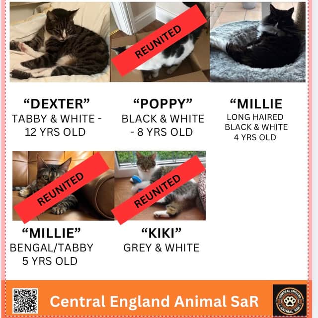 Poppy, Millie and Kiki have been found, but Dexter and another Millie are still missing. Photo: Central England Animal Search & Rescue