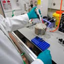 Staff work inside the AstraZeneca Laboratory in Macclesfield, England.