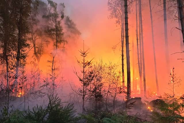 The fire affected a large area of White House and Marquis Drive